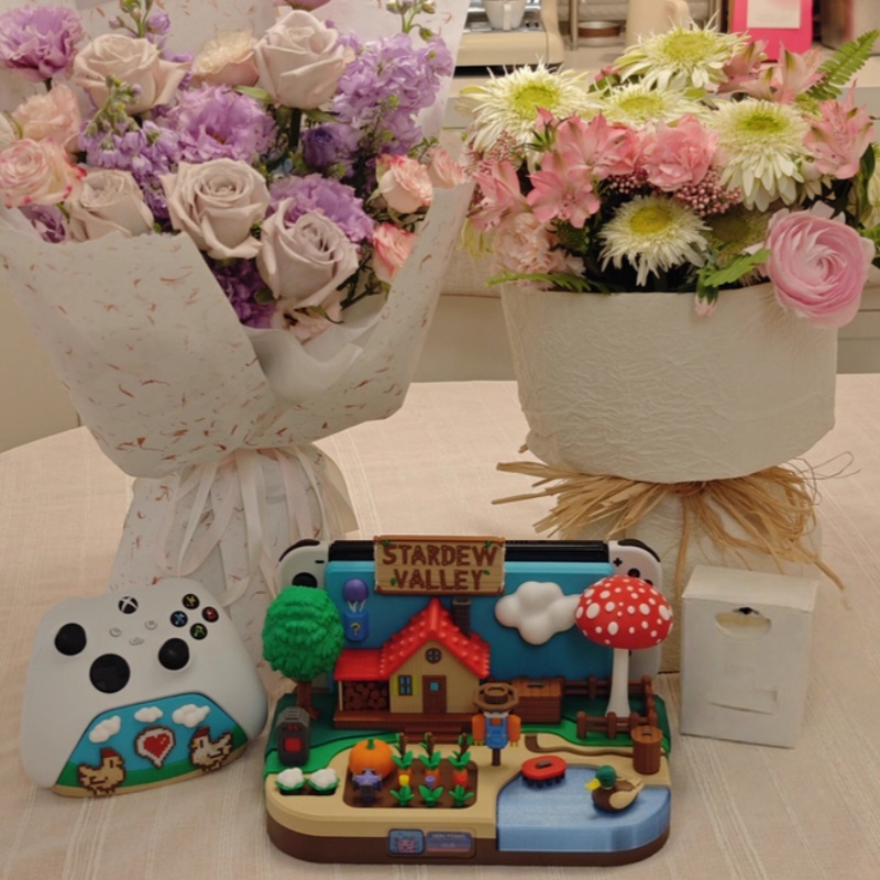 Switch Dock Stardew Valley Far – Gaming Console With Bewertung und Preis